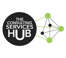 The-Services-Consulting-Hub-logo-ecommerce-website-software-development-web-branding-ci-digital-marketing-spatter-media-001